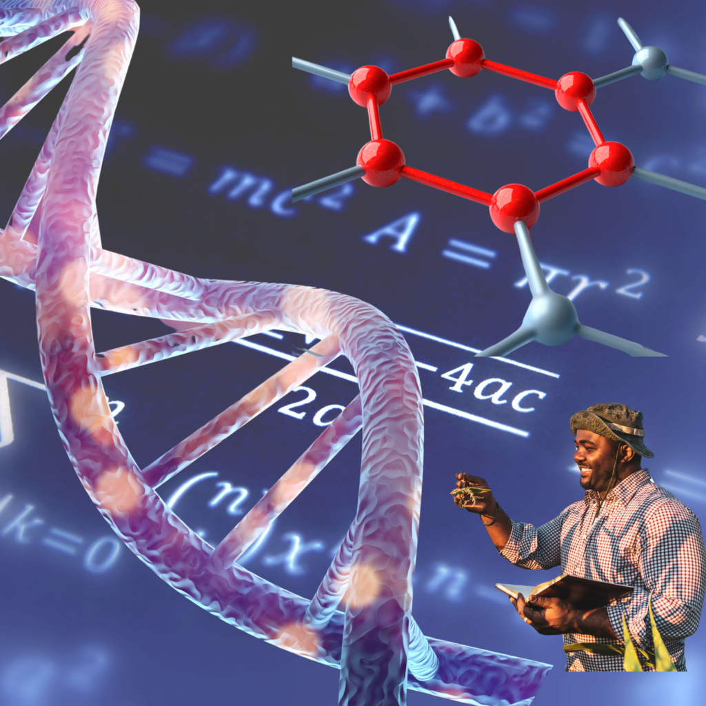 Research and Innovation
